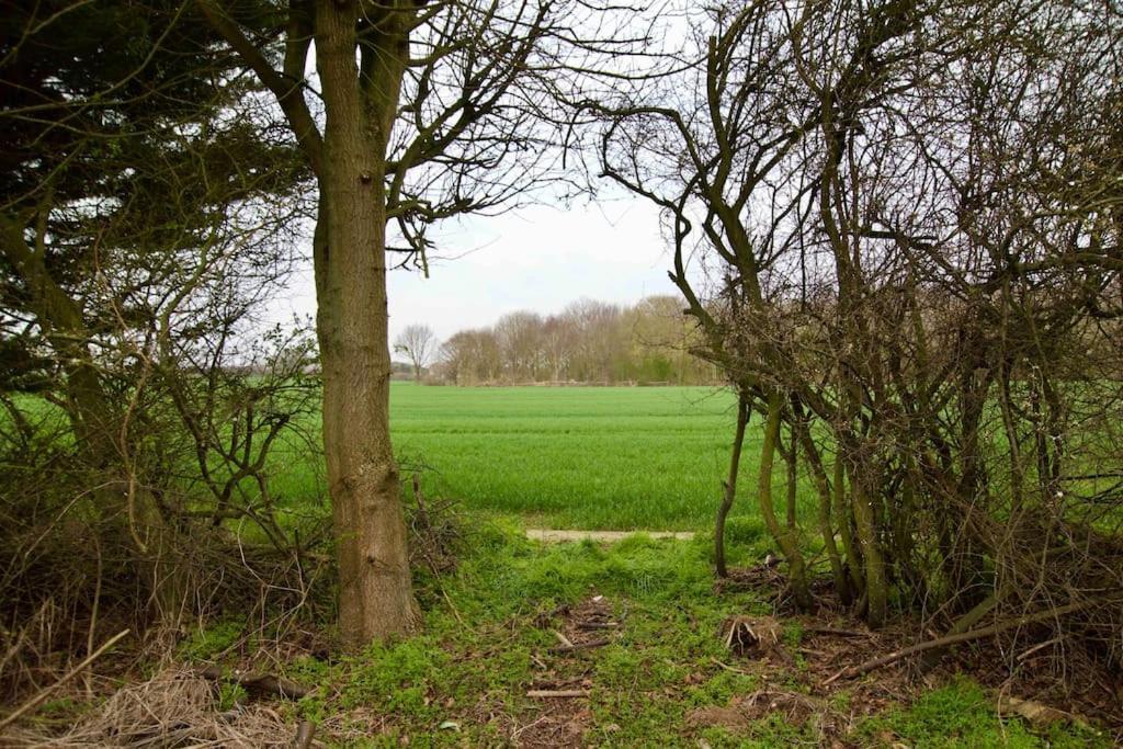 Spacious 5 Bed In The Countryside, Close To Frinton-On-Sea Kirby Cross Exteriör bild